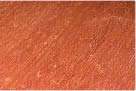 Jatoba (Brazilian Cherry)